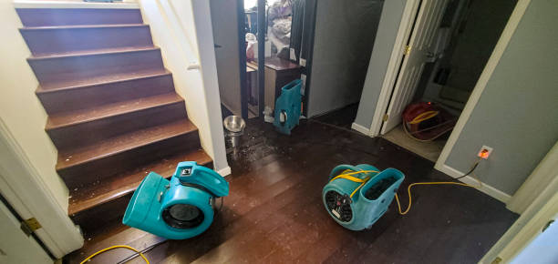 Best Local water damage restoration  in Vandergrift, PA