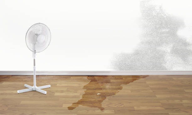 Best Commercial water damage restoration  in Vandergrift, PA
