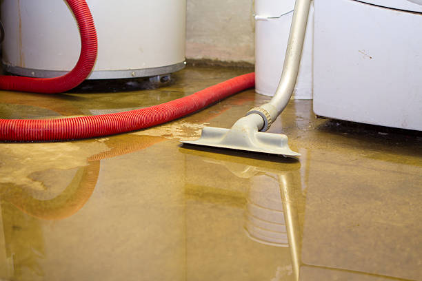 Best Flood restoration services  in Vandergrift, PA
