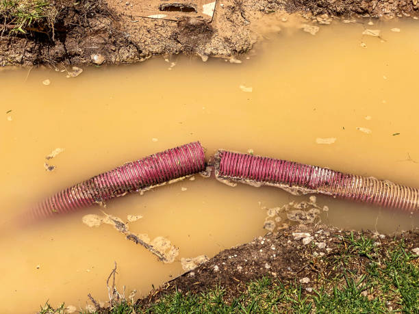 Carpet water damage restoration in Vandergrift, PA