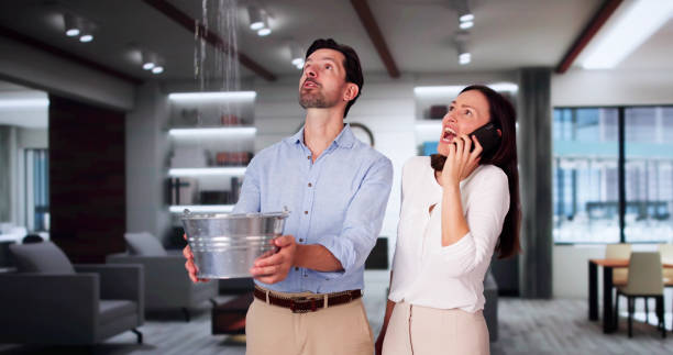 Best Professional water damage repair  in Vandergrift, PA